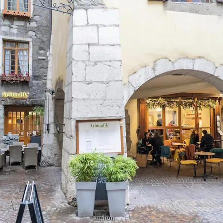 Hyper Centre Proche Gare Sauna Balcon Annecy